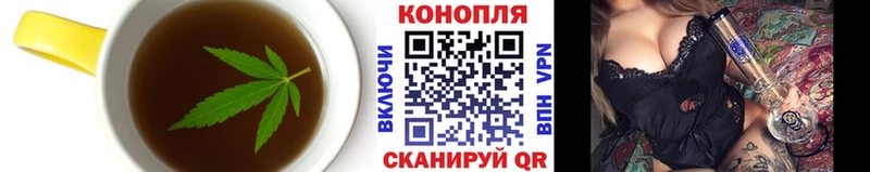 Canna-Cookies марихуана Сосногорск