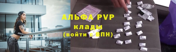 стаф Арсеньев