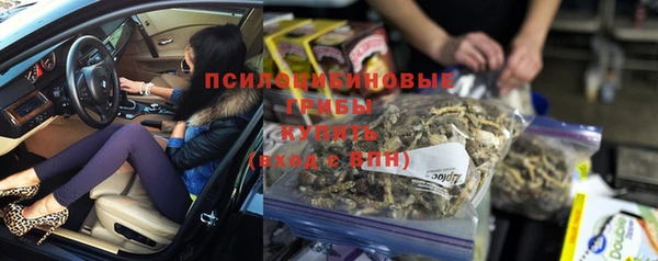 стаф Арсеньев